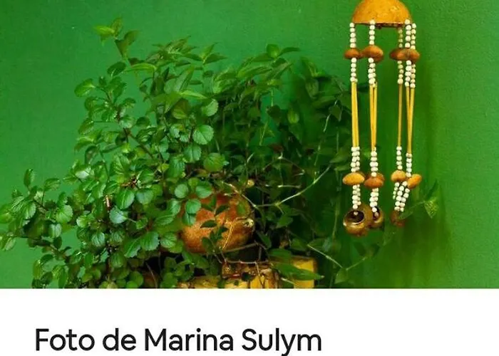 Jardin De Naipi 3