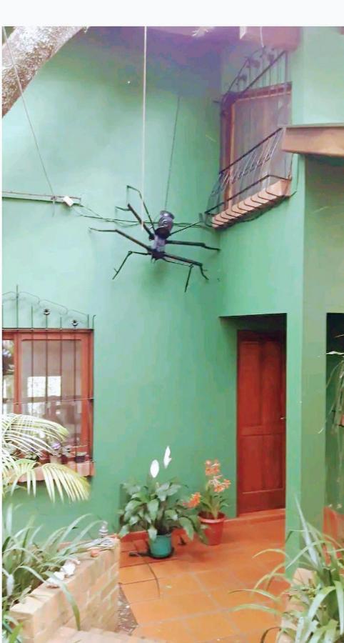 Homestay Jardin De Naipi 3 *
