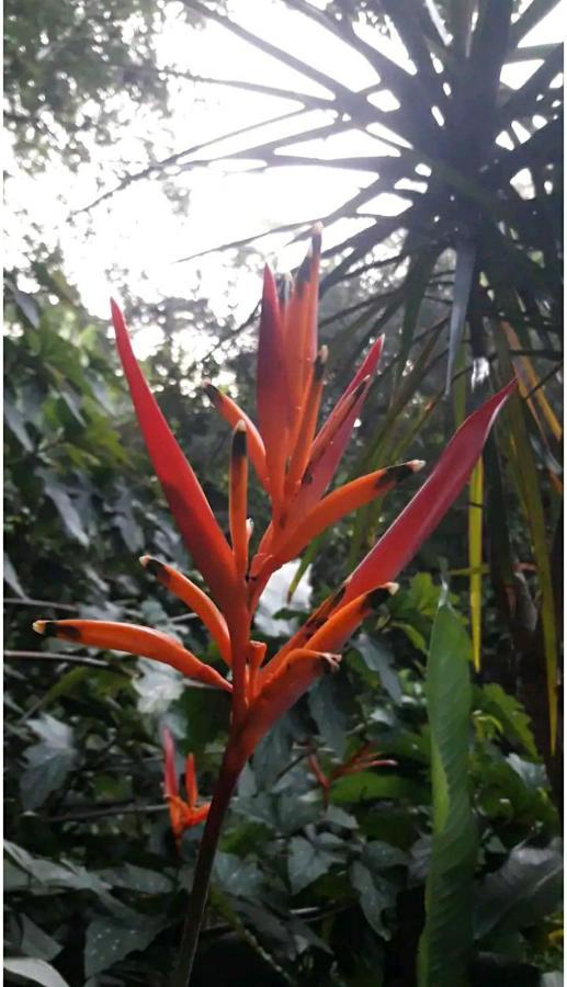 Homestay Jardin De Naipi 3