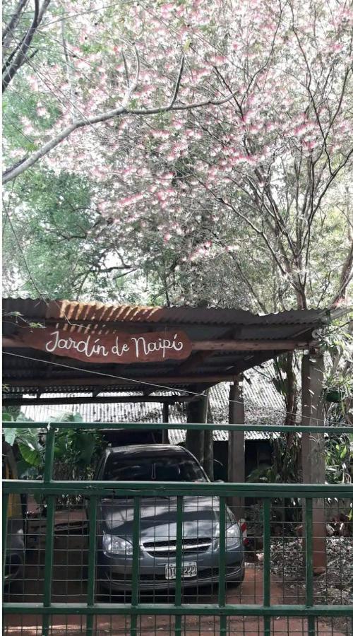 Jardin De Naipi 3